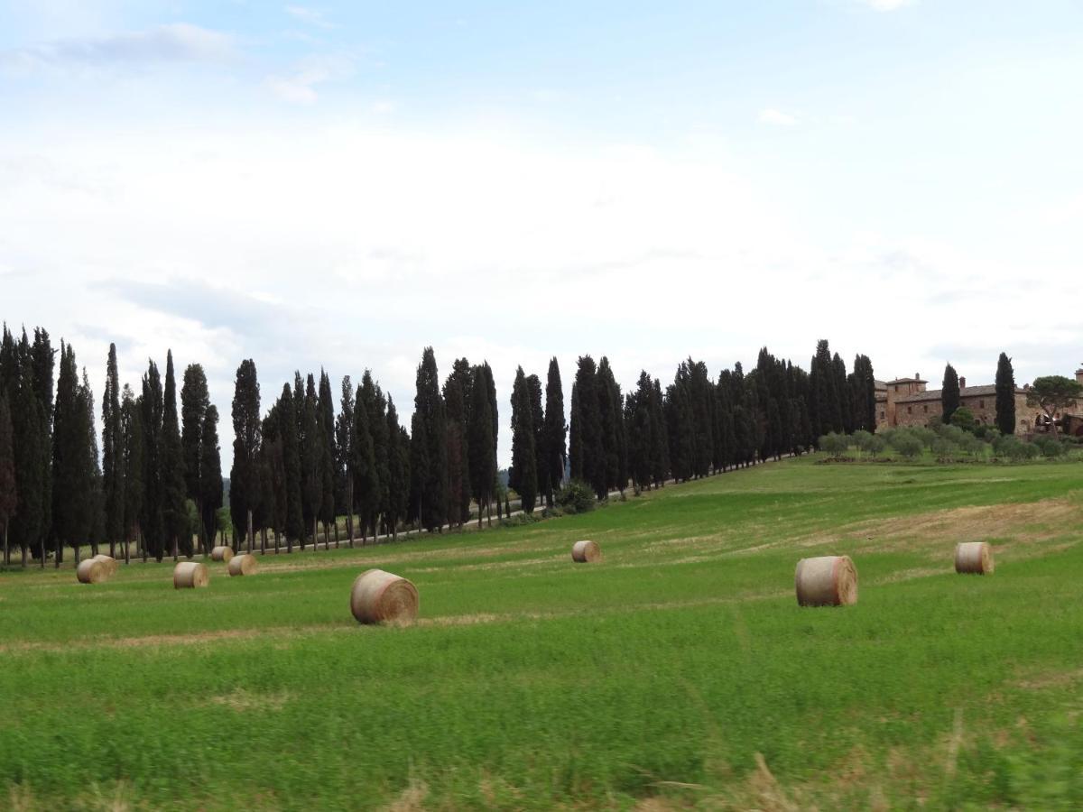 Agriturismo La Collina Сиена Экстерьер фото